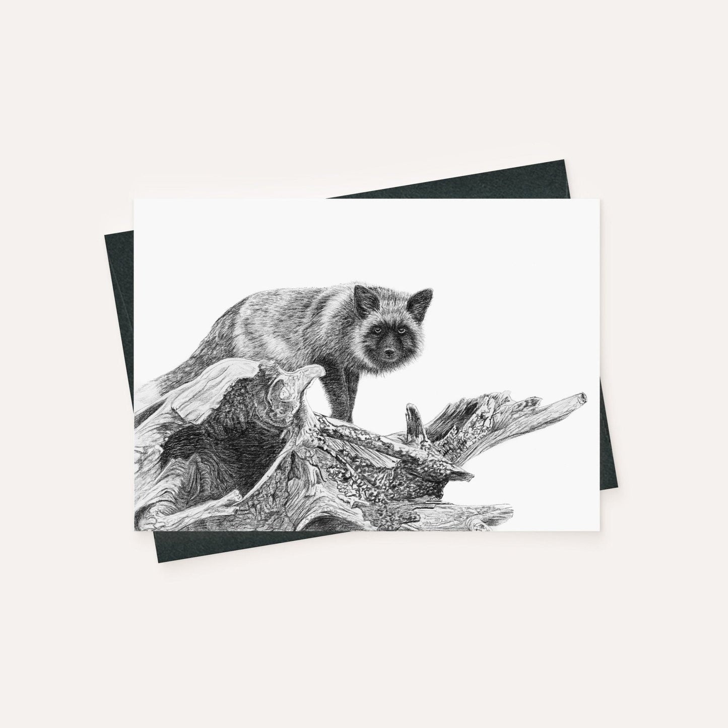 Le renard argenté - carte de vœux