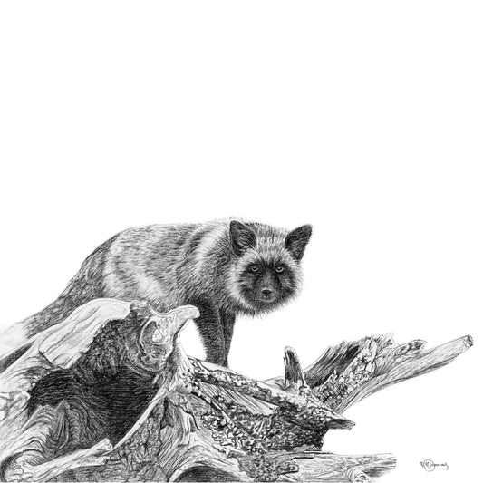 Le renard argenté - carte de vœux