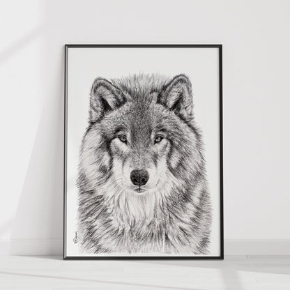 Le Portrait du Loup - Art Mural Animalier des Bois