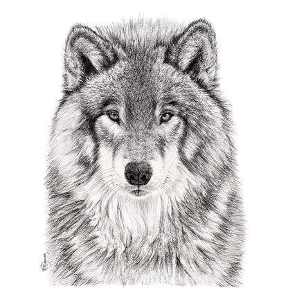 Le Portrait du Loup - Art Mural Animalier des Bois