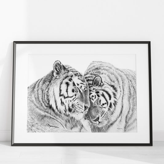 Tigres de l'Amour - estampe d'art animalier - en collaboration avec La Fondation du Zoo de Granby