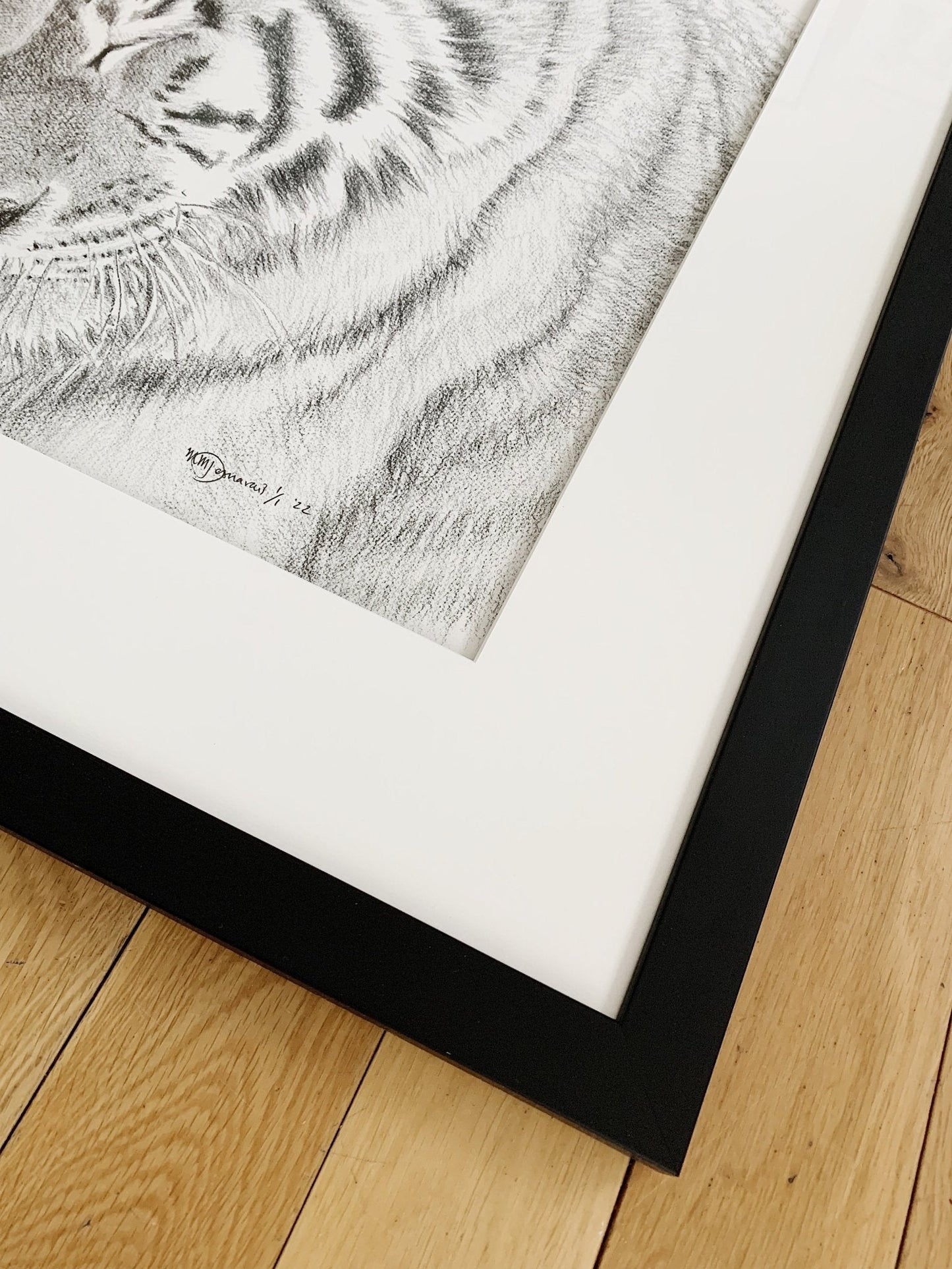 Tigres de l'Amour - estampe d'art animalier - en collaboration avec La Fondation du Zoo de Granby