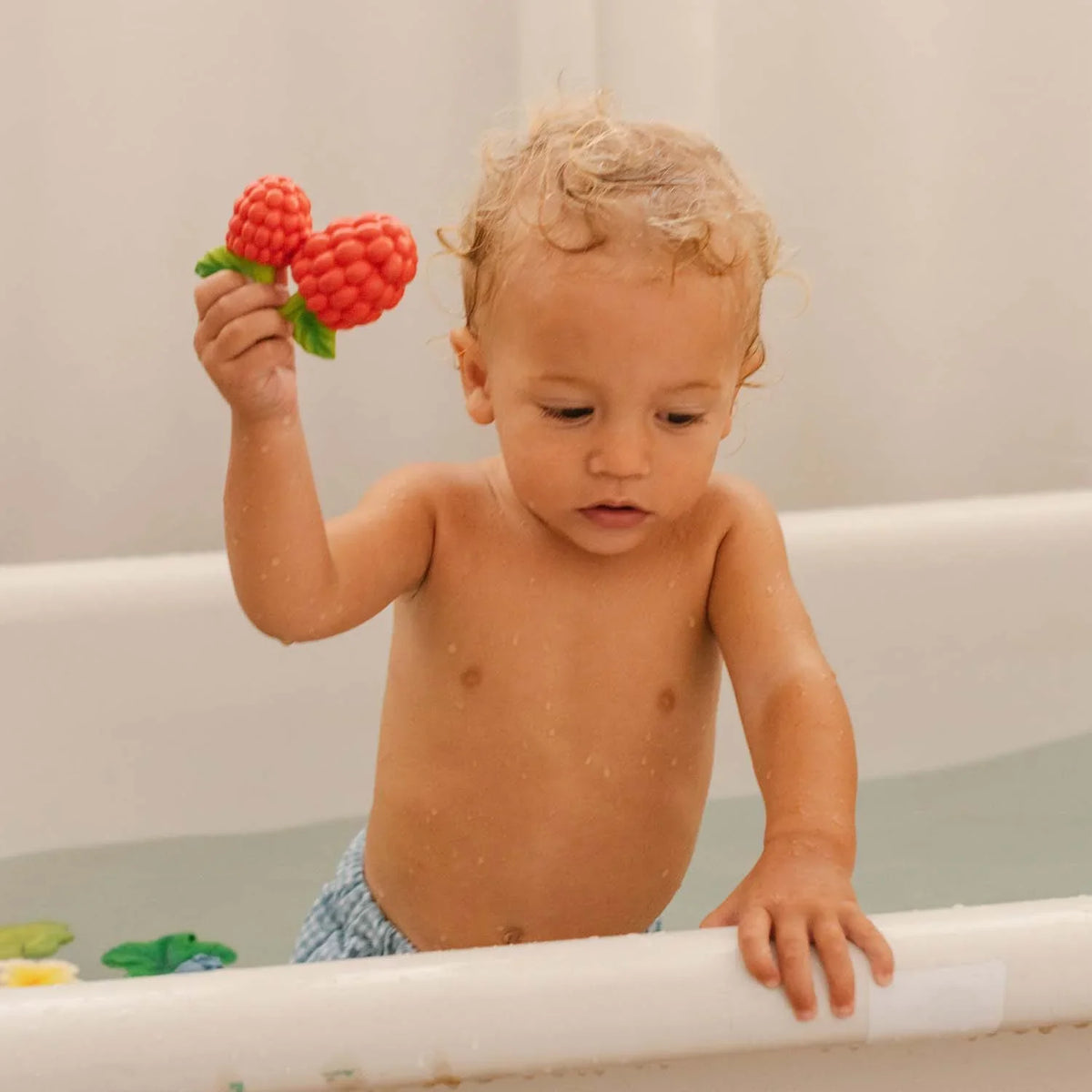Valery the Raspberry Baby Natural Rubber Teether Toy