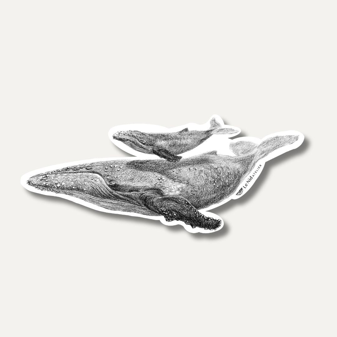 Baleine avec baleineau - Magnet