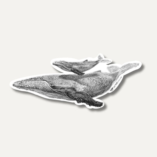Baleine avec baleineau - Magnet