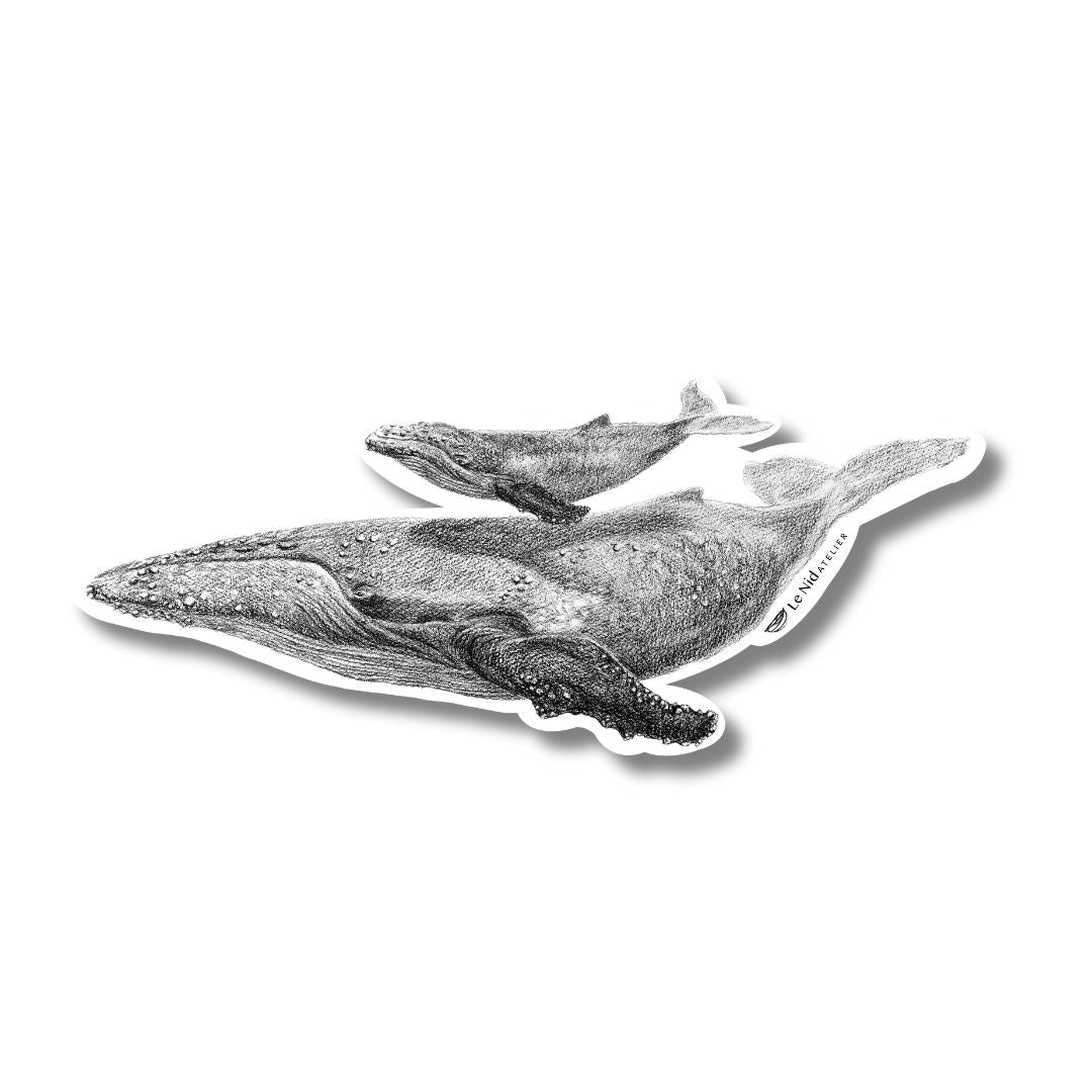 Baleine avec baleineau - Magnet