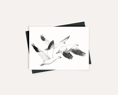 White Geese - Greeting Card