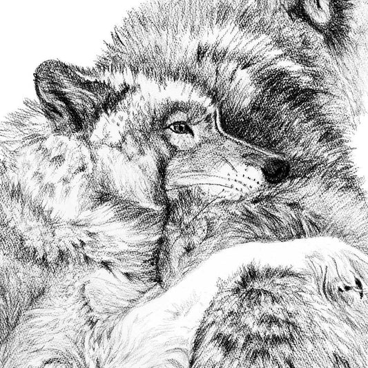 Câlins de loups - carte de vœux