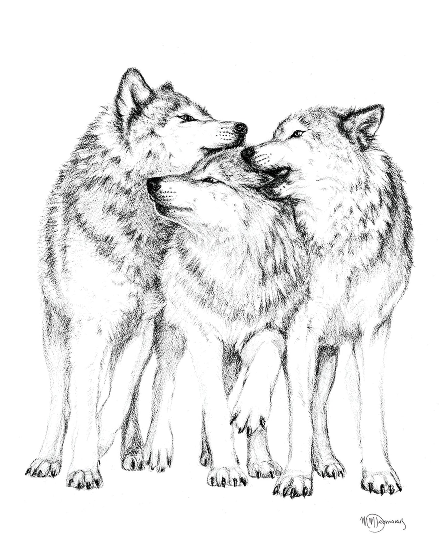 Meute de loups - Carte de vœux