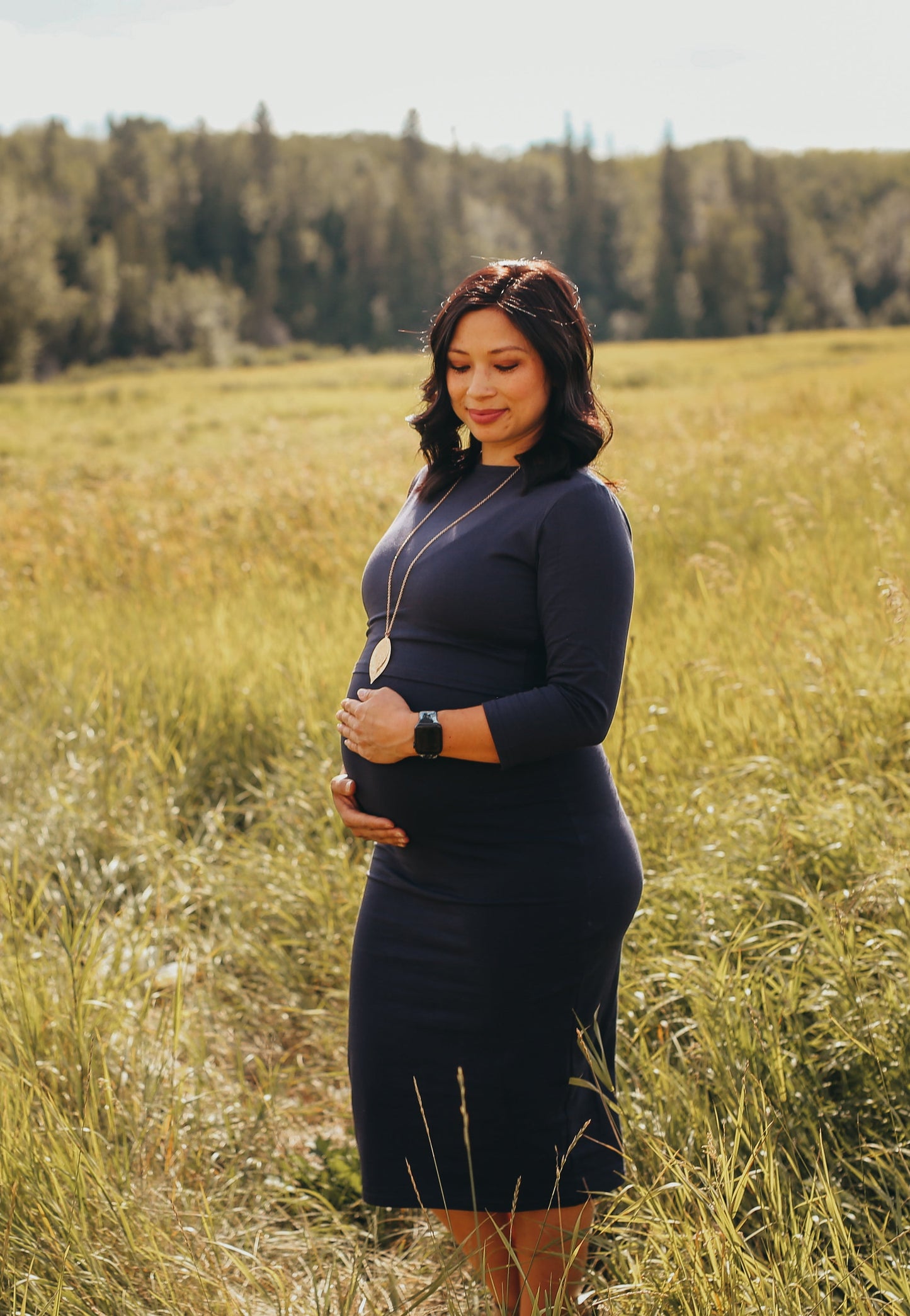 Taryn 3/4-Sleeve Maternity and Nursing Dress