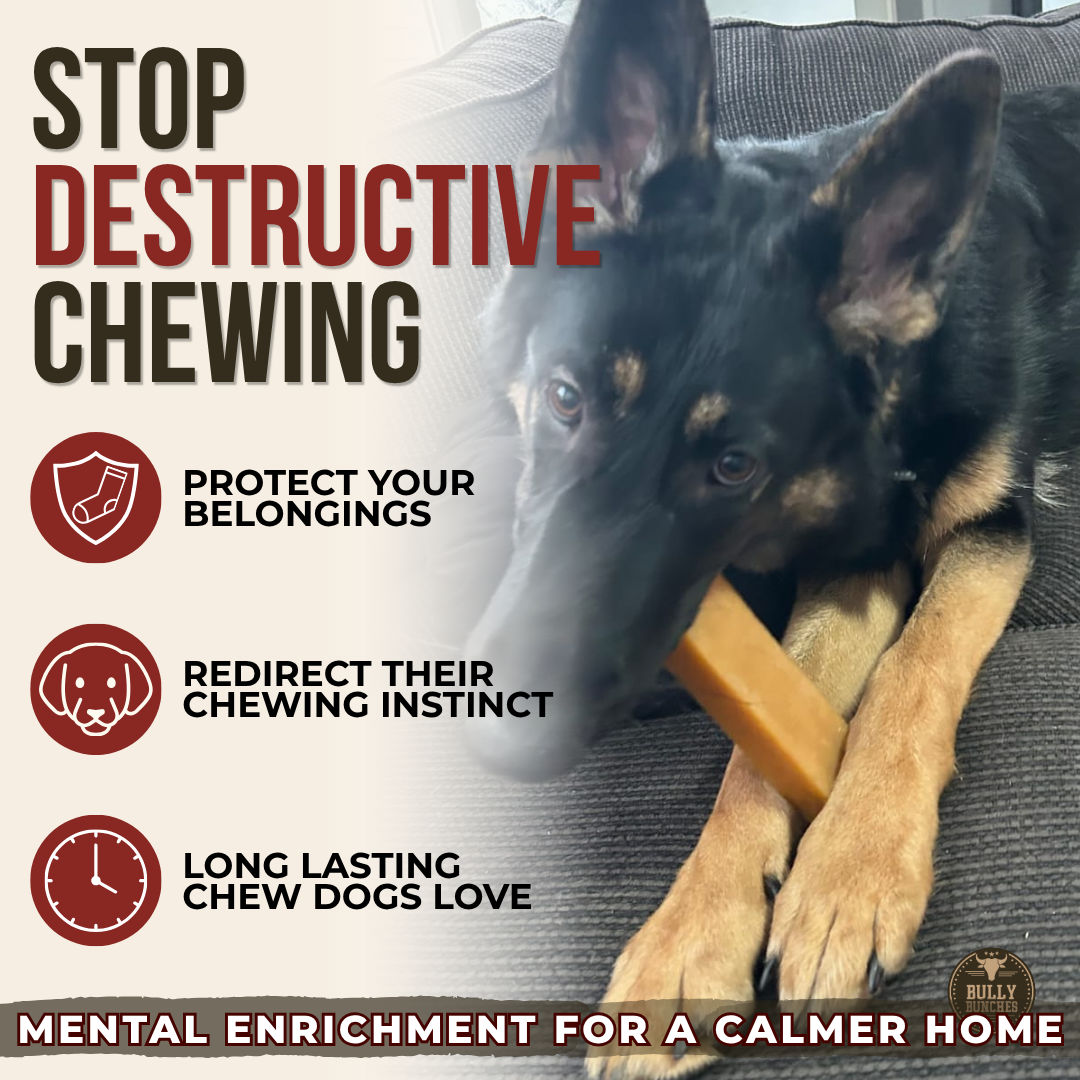 Himalayan Yak Chew (EXTRA LARGE)