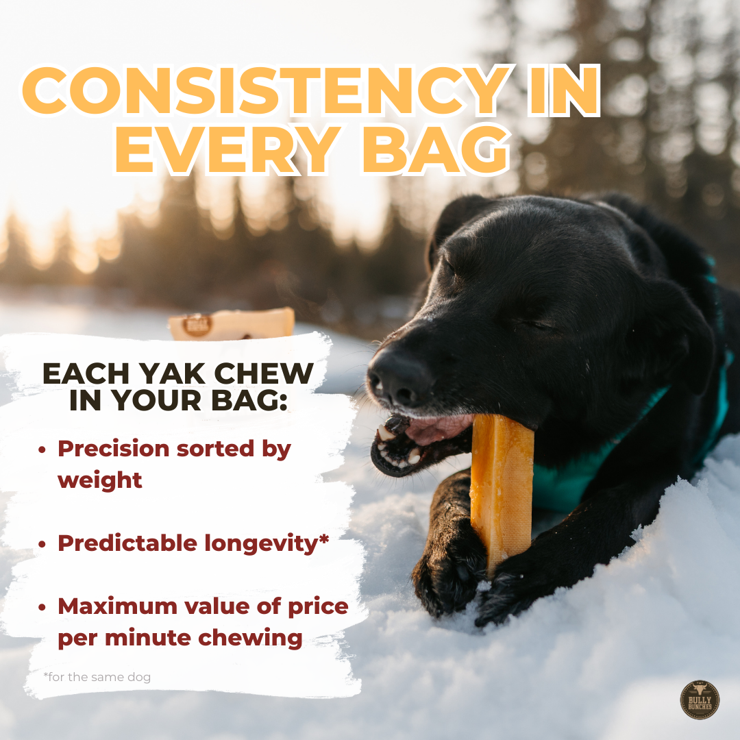 Himalayan Yak Chew (MEGA)