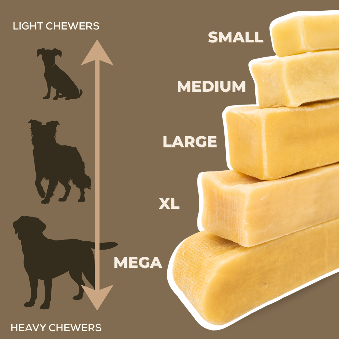 Himalayan Yak Chew (MEDIUM)