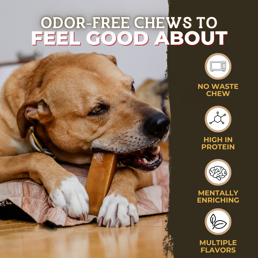 Himalayan Yak Chew (EXTRA LARGE)