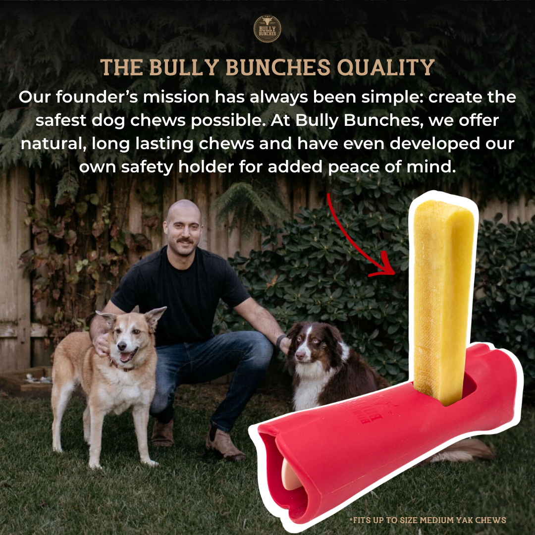 Himalayan Yak Chew (MEGA)